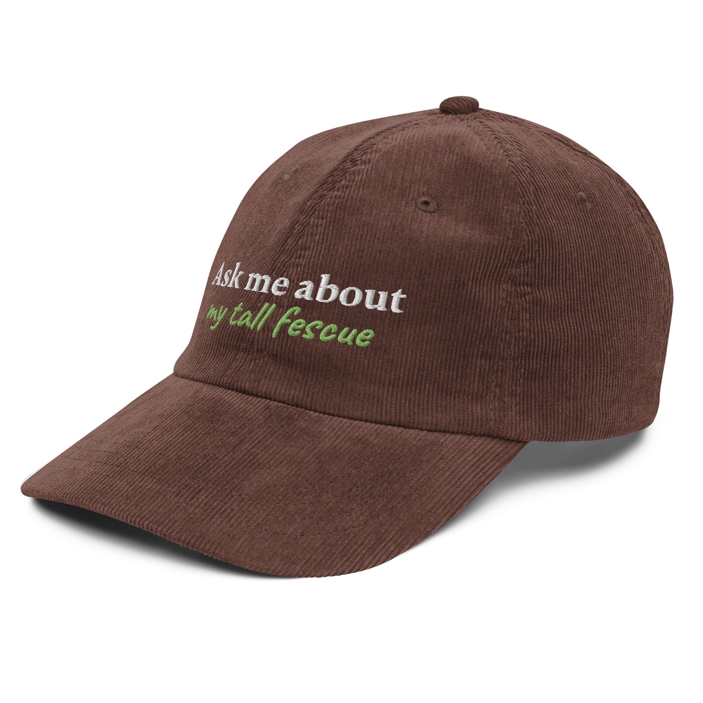 Vintage corduroy cap