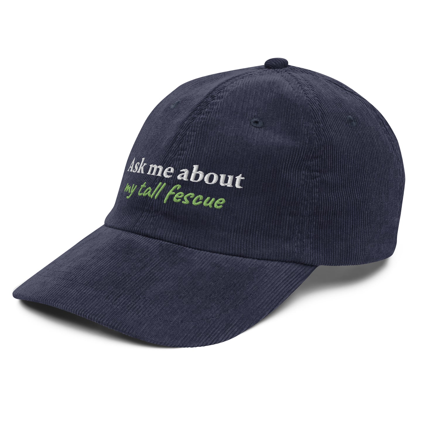 Vintage corduroy cap